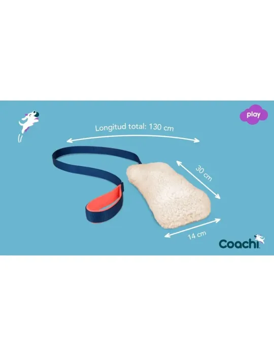 Motivador Coachi Chase & Crinkle