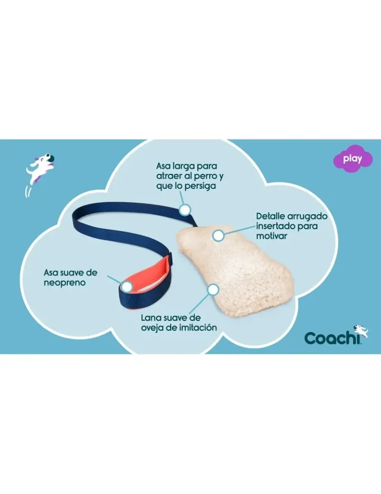 Motivador Coachi Chase & Crinkle