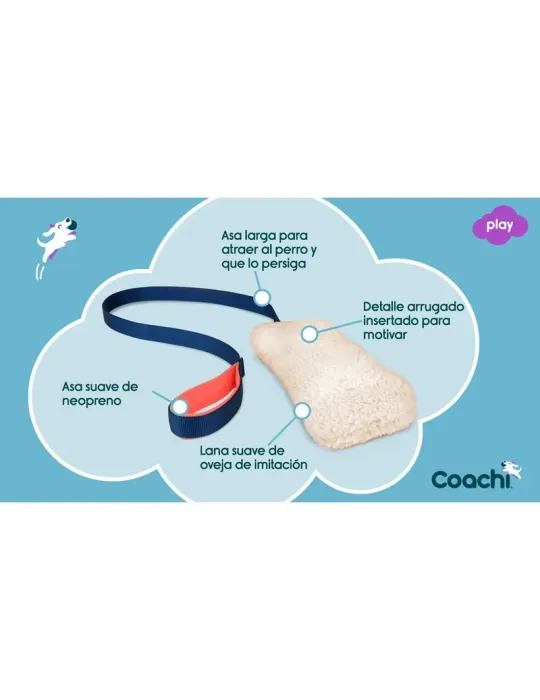 Motivador Coachi Chase & Crinkle