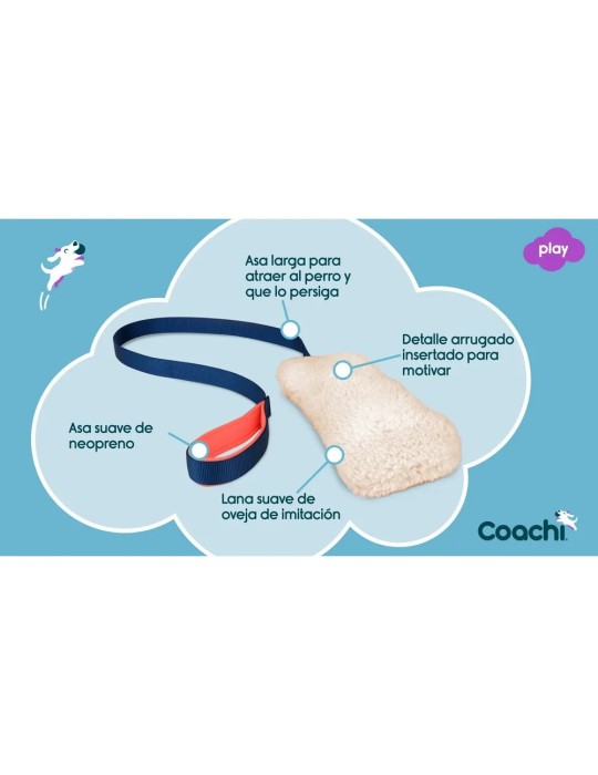 Motivador Coachi Chase & Crinkle
