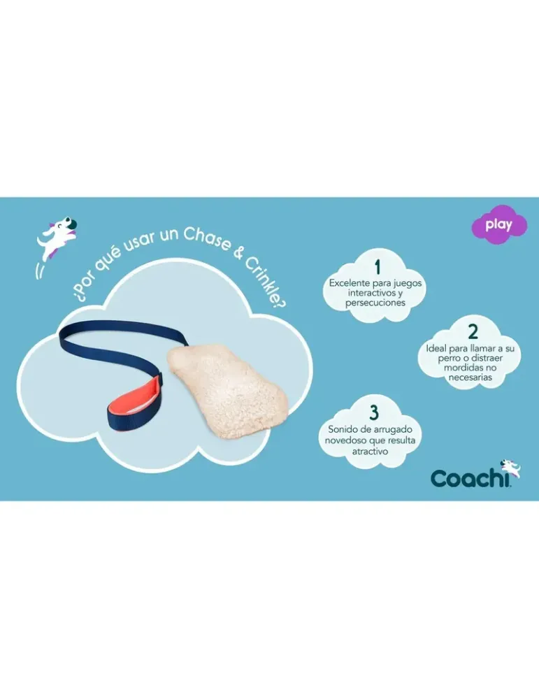 Motivador Coachi Chase & Crinkle