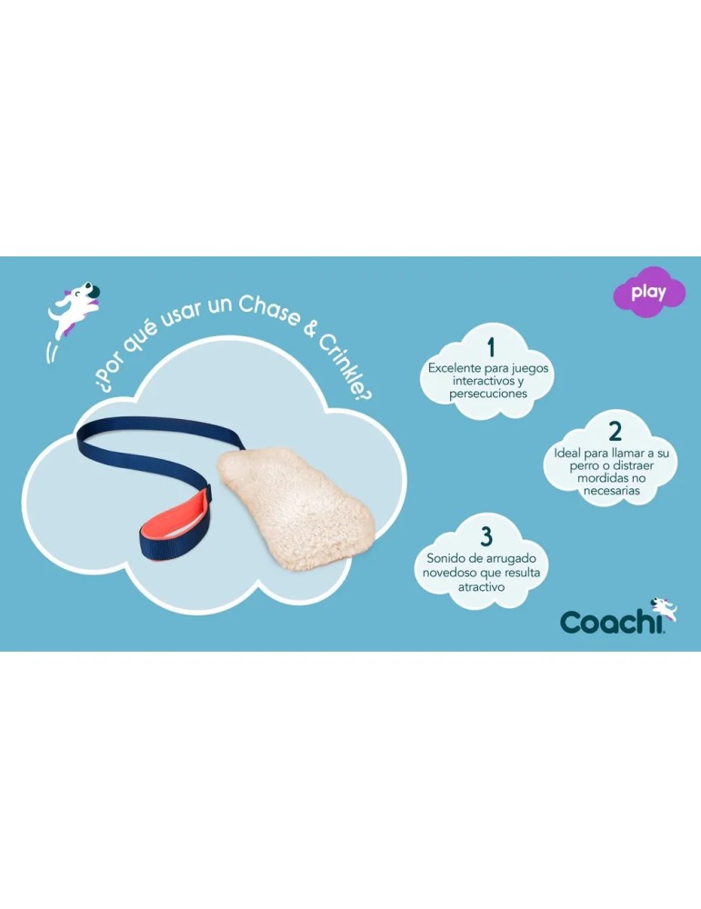 Motivador Coachi Chase & Crinkle