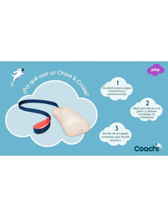 Motivador Coachi Chase & Crinkle