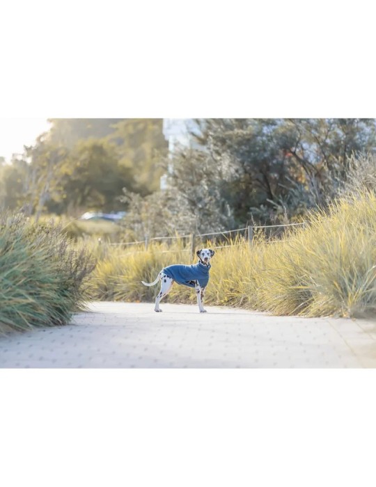 Trixie Jersey Norwood Azul-gris — imagen 5