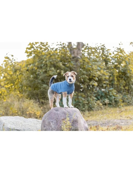 Trixie Jersey Norwood Azul-gris — imagen 7