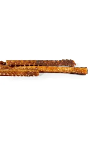 Snackys columna de salmón – snack natural, bolsa de 90 g