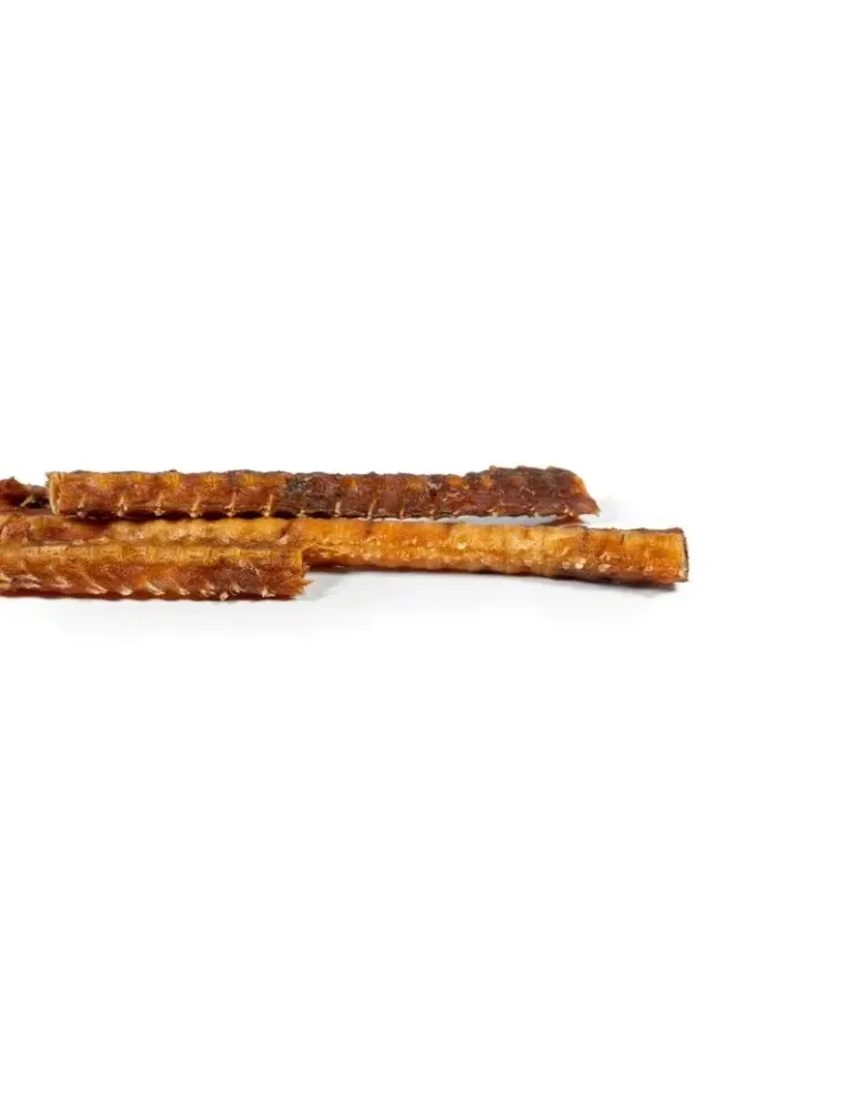 Snackys columna de salmón – snack natural, bolsa de 90 g