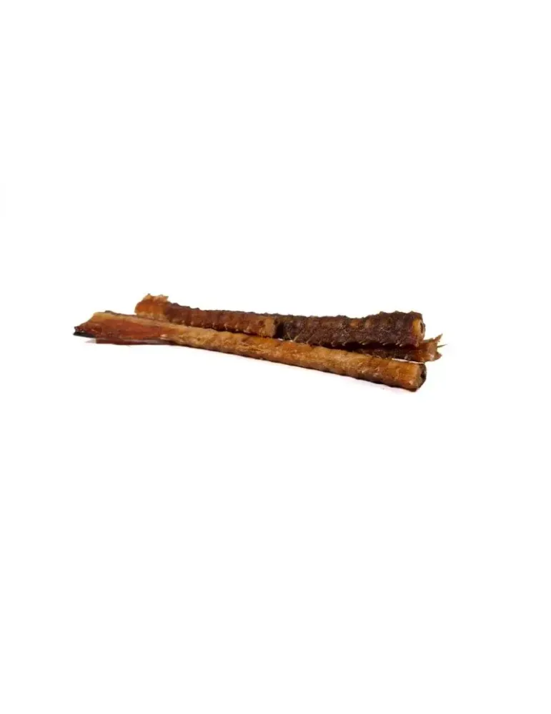 Snackys columna de salmón – snack natural, bolsa de 90 g