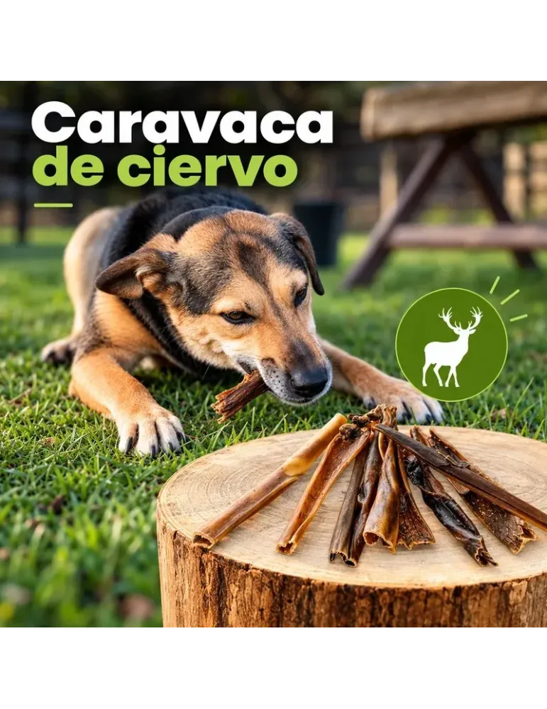 Caravaca de ciervo: snack natural de piel de ciervo al aire libre