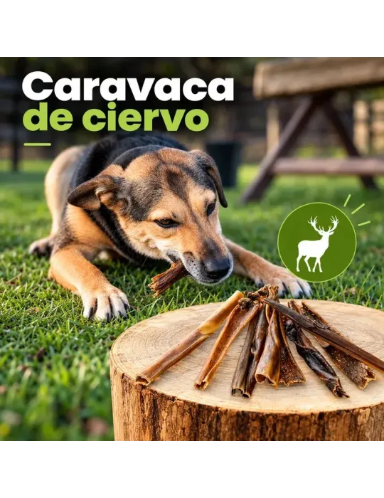 Caravaca de ciervo: snack natural de piel de ciervo al aire libre