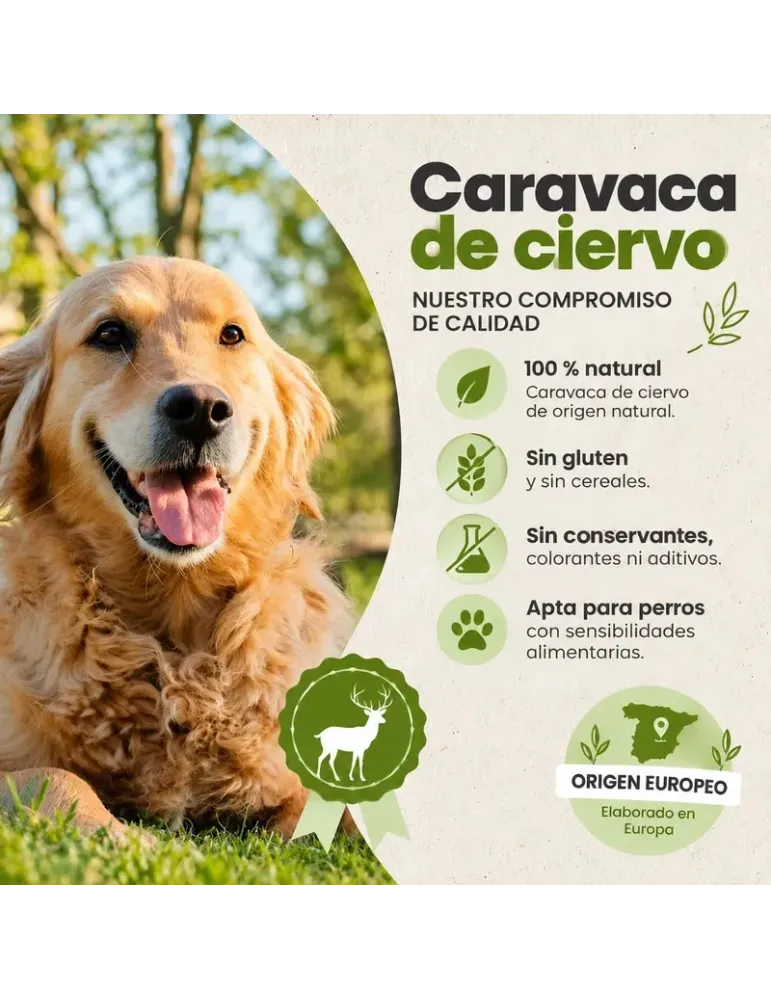 Caravaca de ciervo: características del snack natural