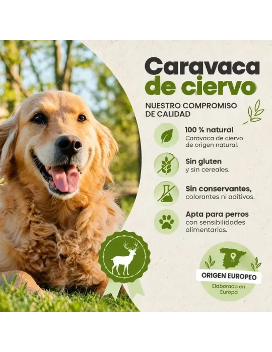 Caravaca de ciervo: características del snack natural