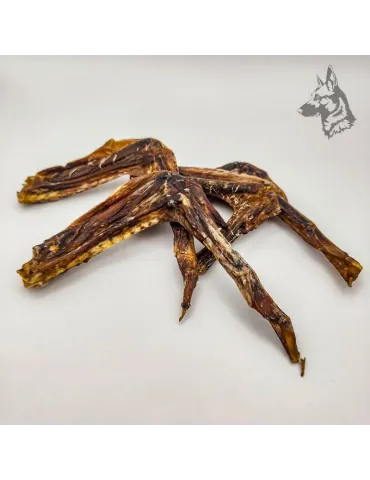 Alitas de Pato