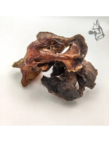 Cartílago Nasal de Vacuno