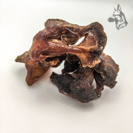 Cartílago Nasal de Vacuno