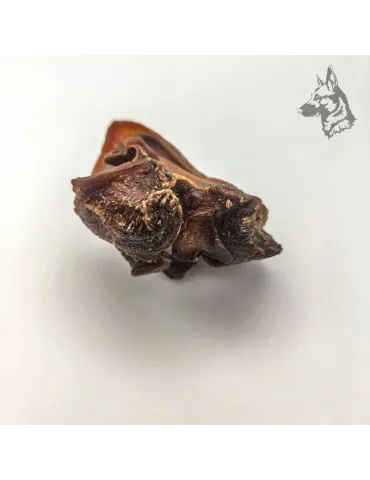 Cartílago Nasal de Vacuno 2