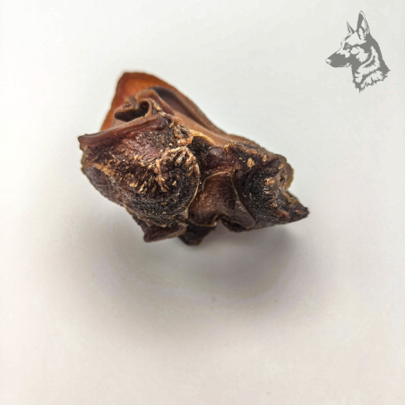 Cartílago Nasal de Vacuno