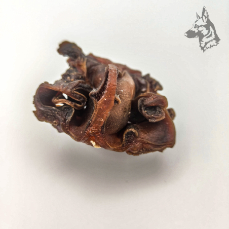 Cartílago Nasal de Vacuno