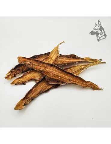 Lenguaditos 2