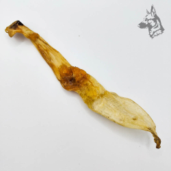 Orejas de Liebre 2