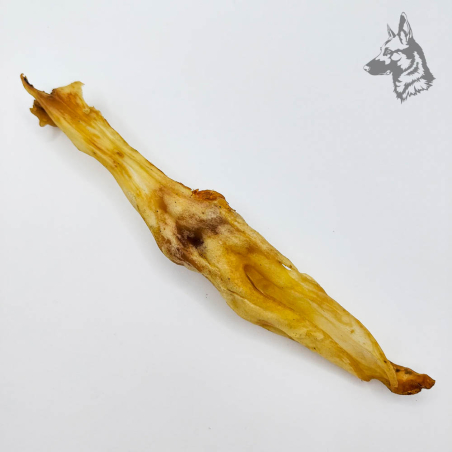 Orejas de Liebre