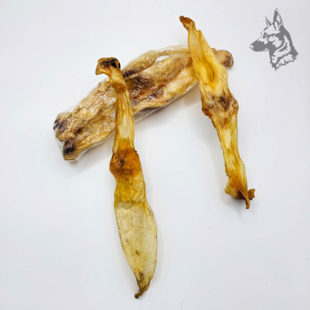 Orejas de Liebre