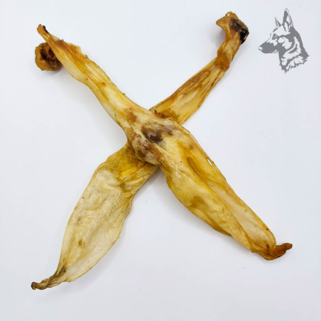 Orejas de Liebre