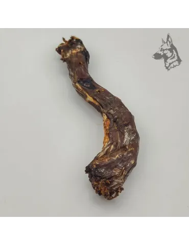 Cuellos de Pato 2