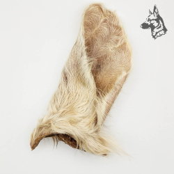 Oreja de Buey con Pelo