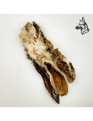Oreja de conejo con Pelo