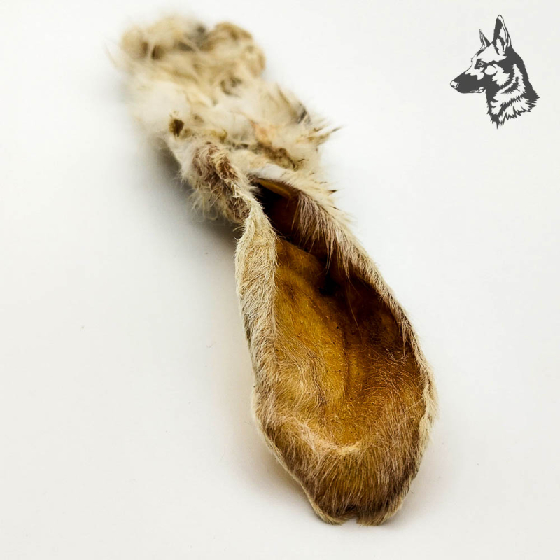 Oreja de conejo con Pelo