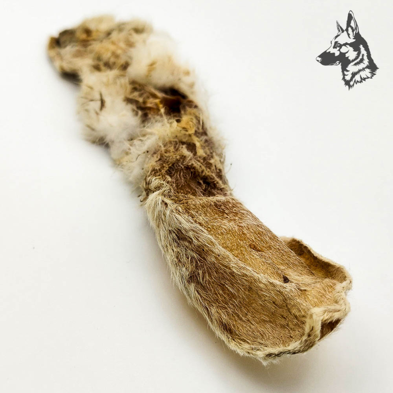 Oreja de conejo con Pelo