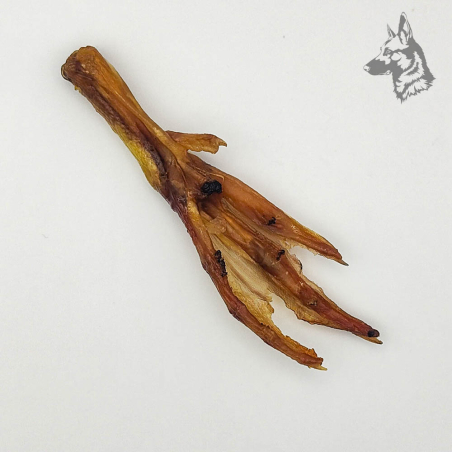 Patas de pato