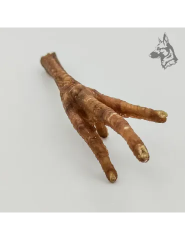 Patas de pollo 2
