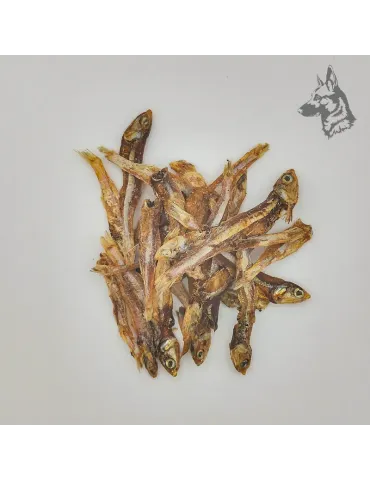 Pescaditos 2