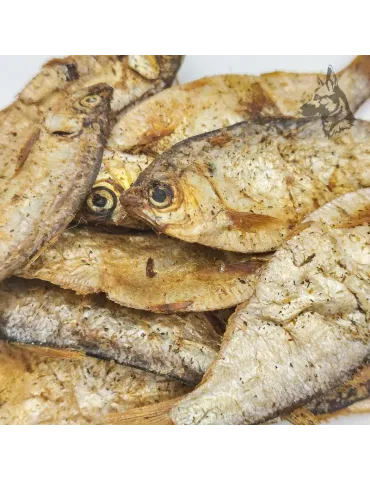 Pececitos Omena 2