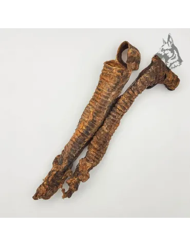 Tráqueas de Cordero