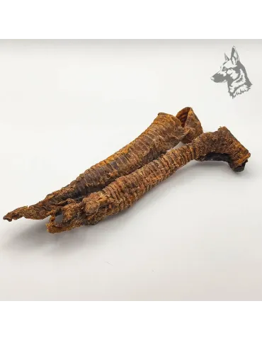 Tráqueas de Cordero 2
