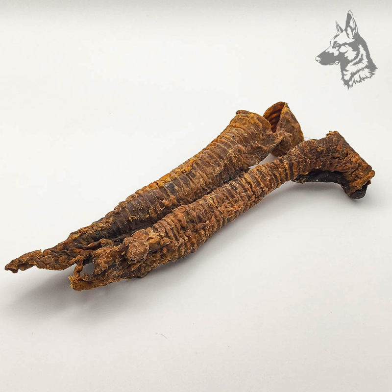 Tráqueas de Cordero