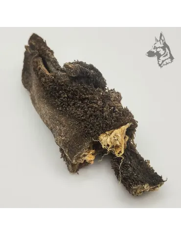 Tripa de Buey 2