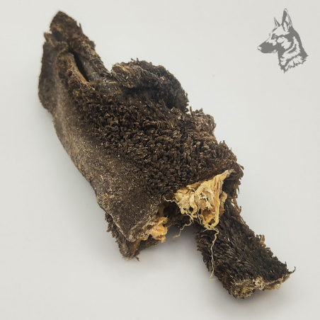 Tripa de Buey