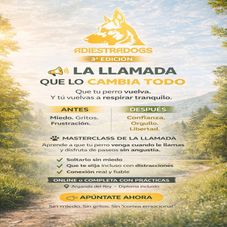 Masterclass: La Llamada que lo Cambia Todo