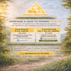 Masterclass: La Llamada que lo Cambia Todo 2