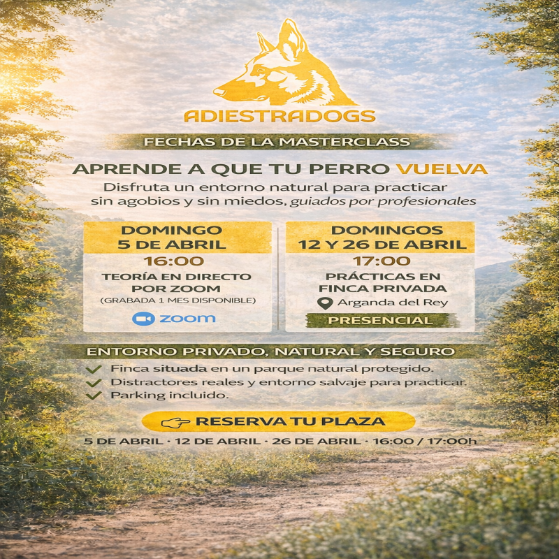 Masterclass: La Llamada que lo Cambia Todo