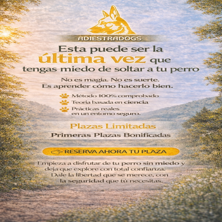 Masterclass: La Llamada que lo Cambia Todo