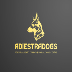 Educación Canina - Sesiones Presenciales