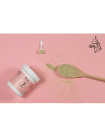 Envase de suplemento alimenticio para mascotas marca Gloria Supple Pets, modelo Big Smile. Este producto está formulado para pro 2