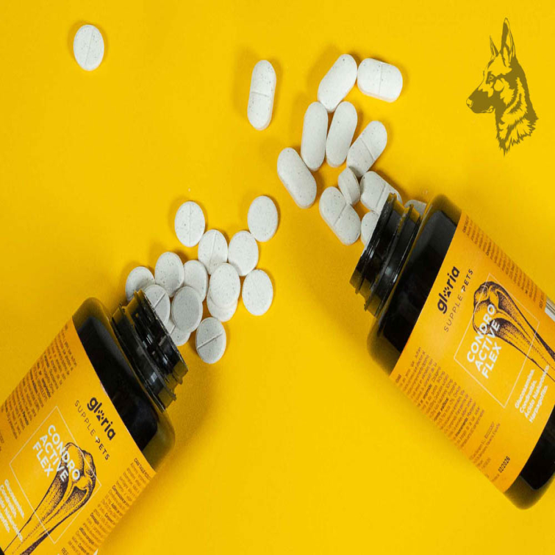 Supplepets Condro Active Flex