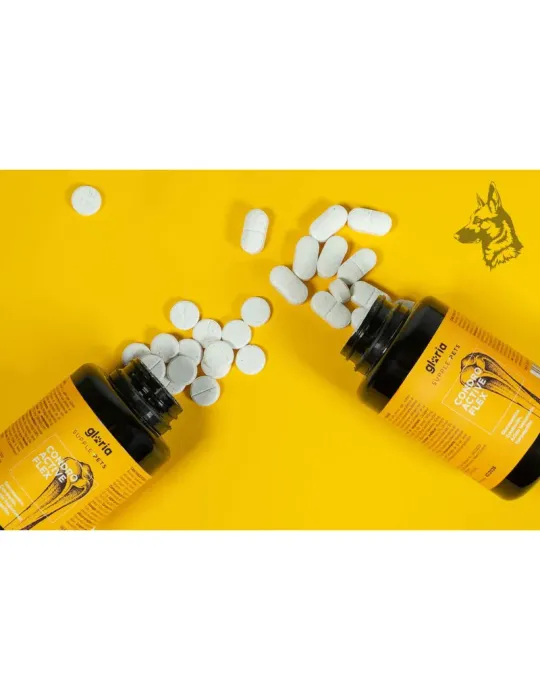 Supplepets Condro Active Flex