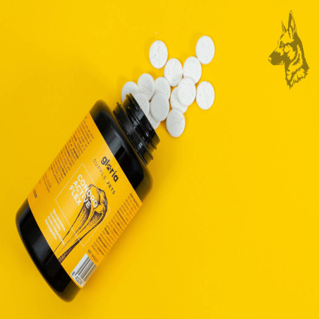 Supplepets Condro Active Flex